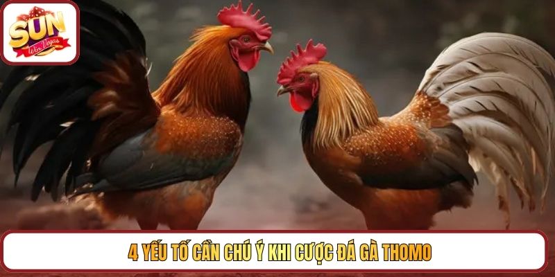 4 yếu tố cần chú ý khi cược đá gà Thomo
