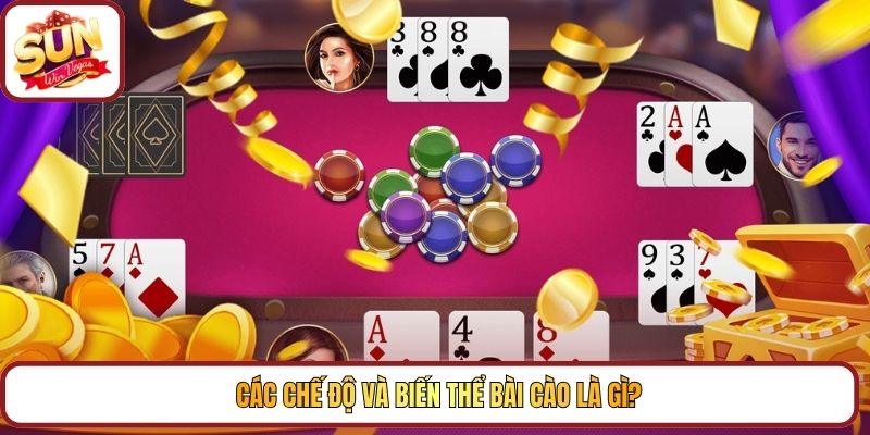 Các chế độ và biến thể Bài Cào là gì?