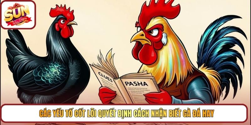 Các yếu tố cốt lõi quyết định cách nhận biết gà đá hay