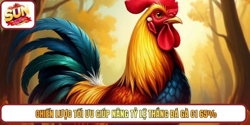 Chiến lược tối ưu giúp nâng tỷ lệ thắng đá gà C1 65%