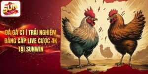 Đá Gà C1 | Trải Nghiệm Đẳng Cấp Live Cược 4k Tại Sunwin