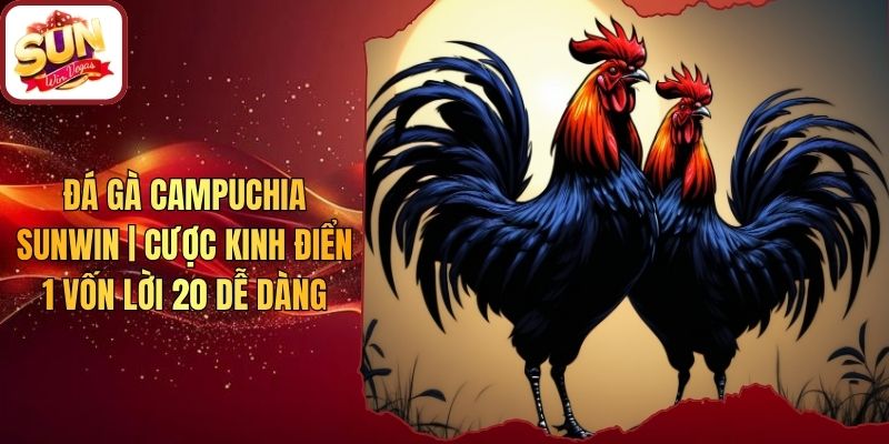 Đá Gà Campuchia Sunwin | Cược Kinh Điển 1 Vốn Lời 20 Dễ Dàng