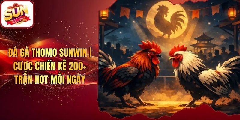 Đá Gà Thomo Sunwin | Cược Chiến Kê 200+ Trận Hot Mỗi Ngày