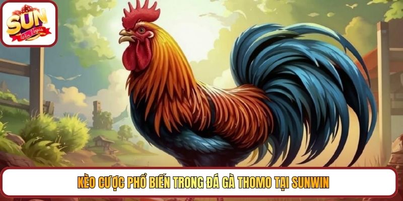 Kèo cược phổ biến trong đá gà Thomo tại Sunwin