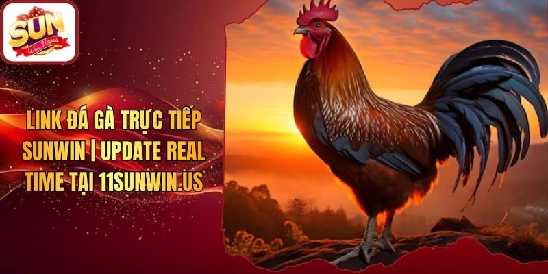 Link Đá Gà Trực Tiếp Sunwin | Update Real Time Tại 11sunwin.us