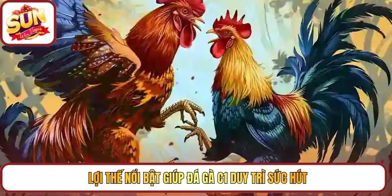 Lợi thế nổi bật giúp đá gà C1 duy trì sức hút