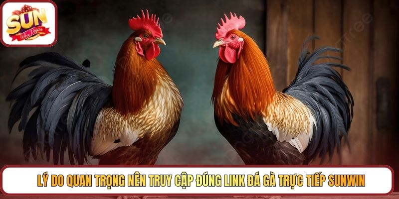 Lý do quan trọng nên truy cập đúng link đá gà trực tiếp Sunwin