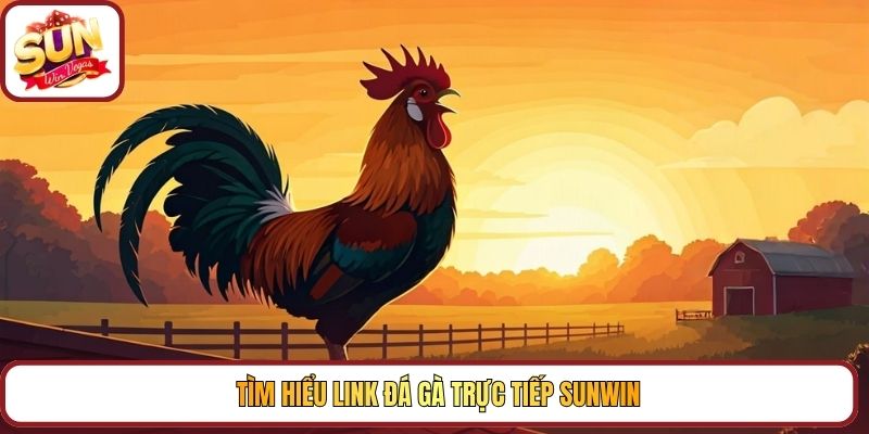 Tìm hiểu link đá gà trực tiếp Sunwin
