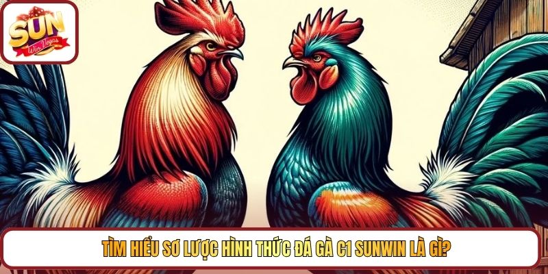 Tìm hiểu sơ lược hình thức đá gà C1 Sunwin là gì?
