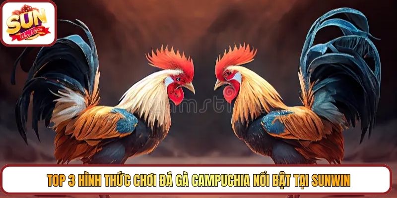 Top 3 hình thức chơi đá gà Campuchia nổi bật tại Sunwin 