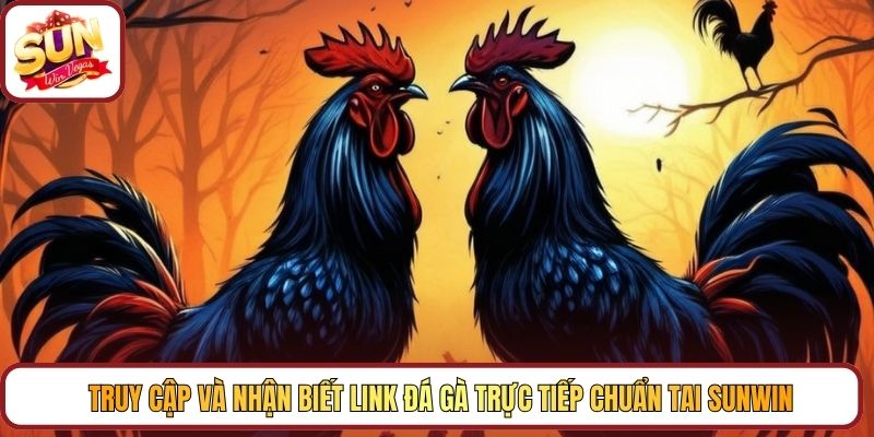 Truy cập và nhận biết link đá gà trực tiếp chuẩn tai Sunwin